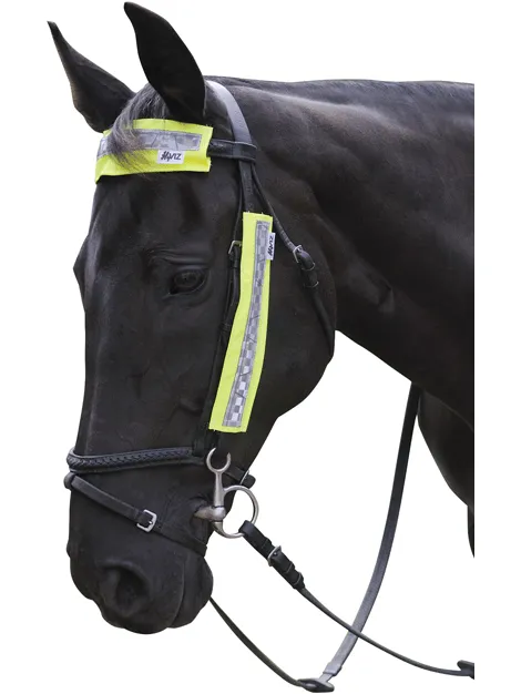 Hi Viz Bridle Set