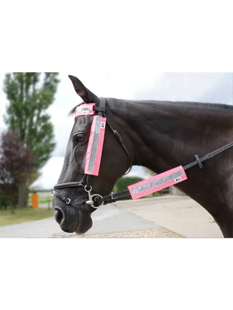 Hi Viz Bridle Set