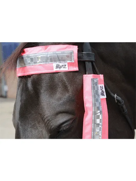 Hi Viz Bridle Set