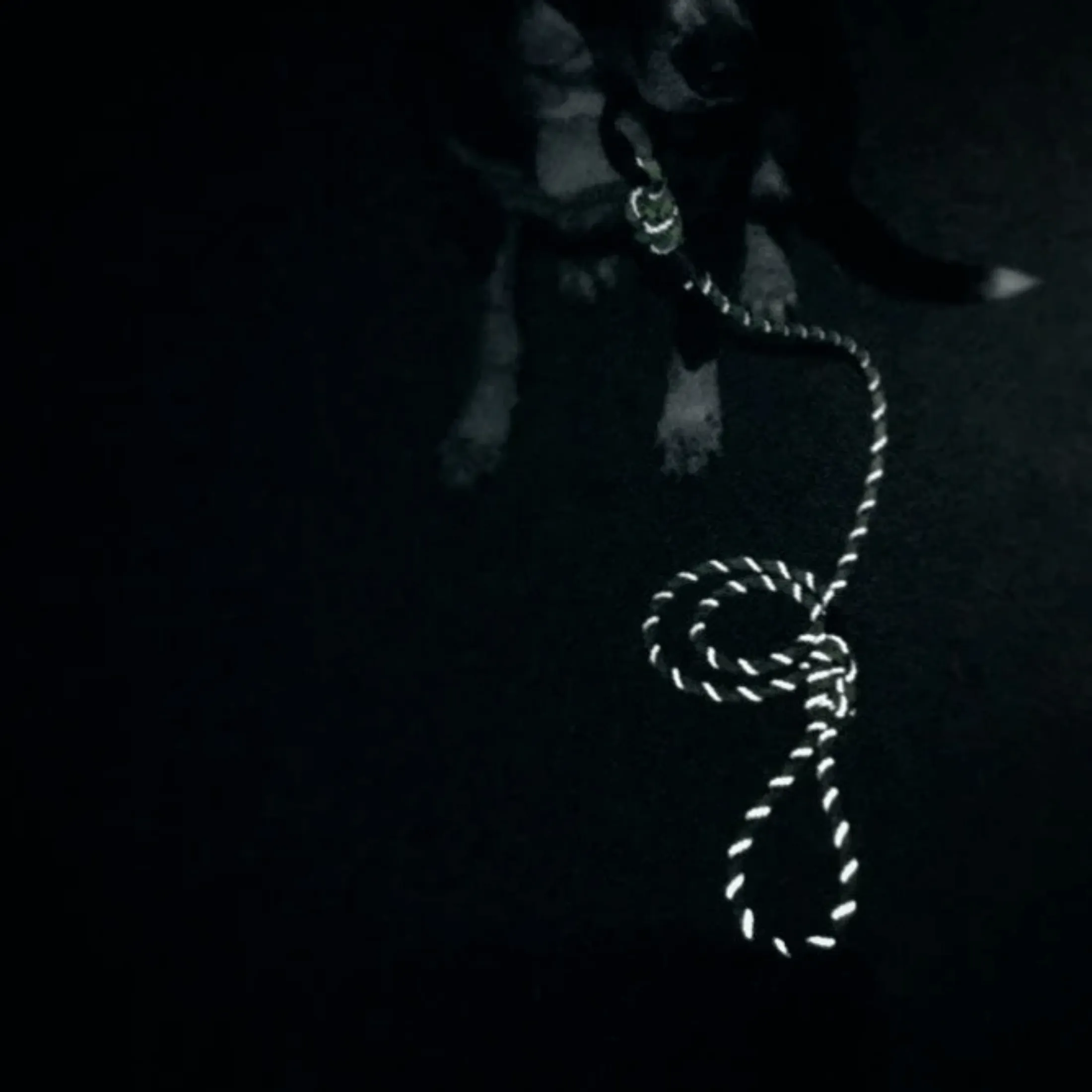 Lime Reflective Rope Leash
