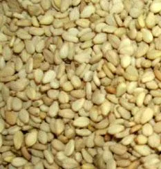 Organic to the Root Sesame Seeds