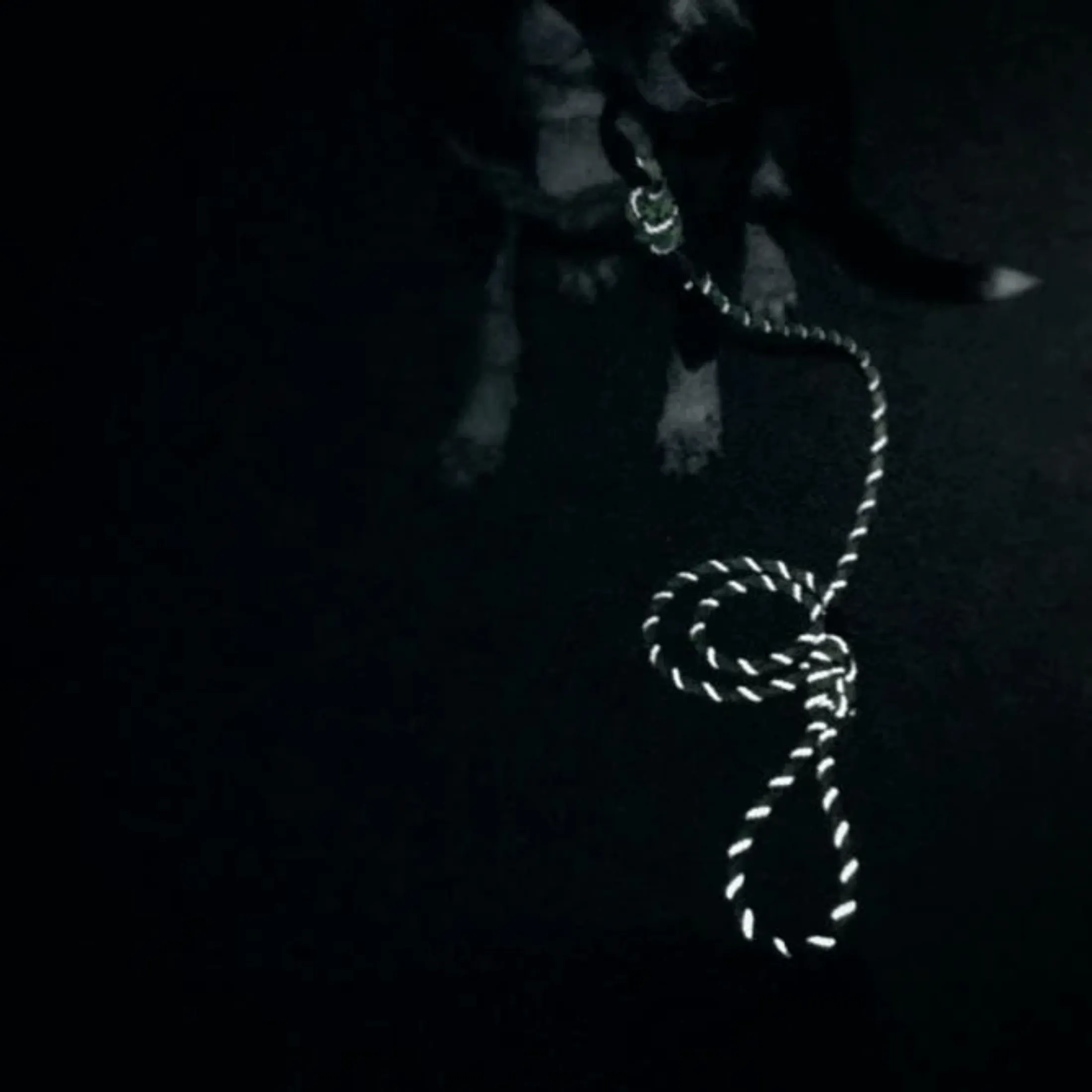 Razzleberry Reflective Rope Collar